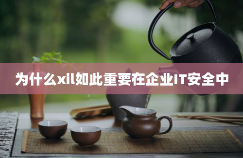 为什么xil如此重要在企业IT安全中