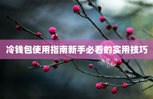 冷钱包使用指南新手必看的实用技巧