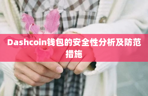 Dashcoin钱包的安全性分析及防范措施