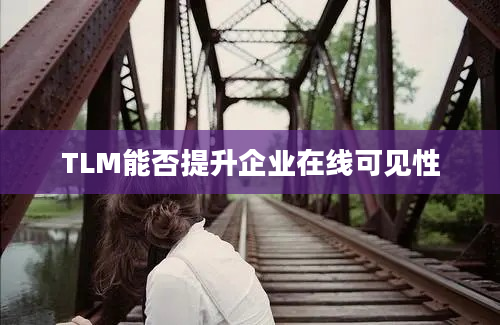 TLM能否提升企业在线可见性