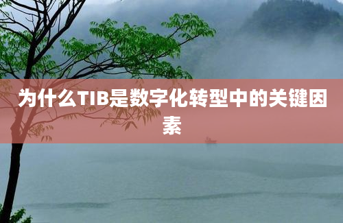 为什么TIB是数字化转型中的关键因素