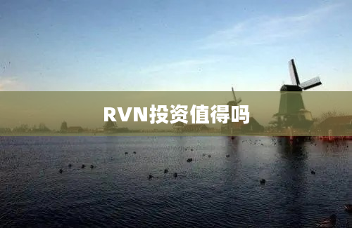 RVN投资值得吗