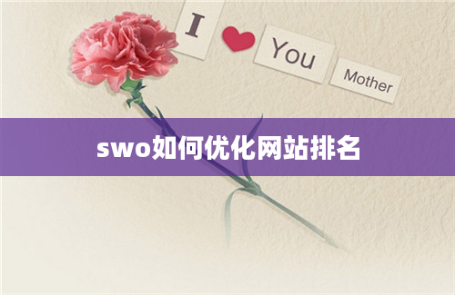 swo如何优化网站排名