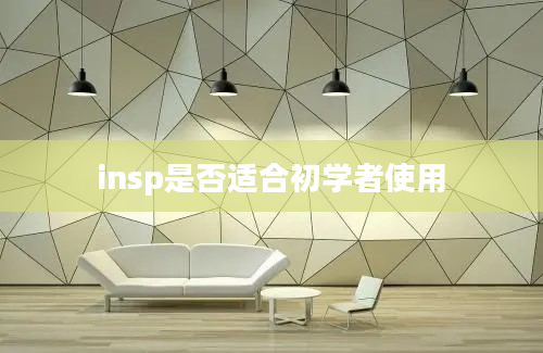 insp是否适合初学者使用