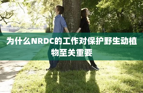 为什么NRDC的工作对保护野生动植物至关重要