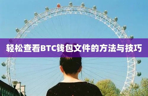 轻松查看BTC钱包文件的方法与技巧