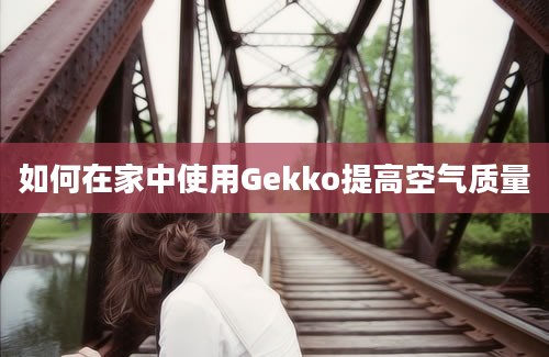 如何在家中使用Gekko提高空气质量