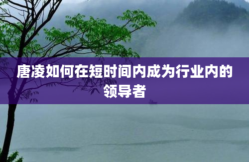 唐凌如何在短时间内成为行业内的领导者