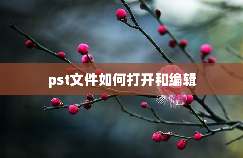 pst文件如何打开和编辑