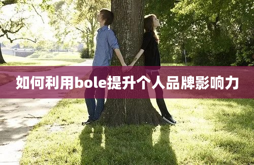 如何利用bole提升个人品牌影响力