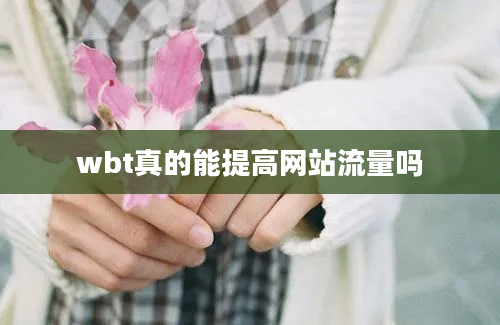 wbt真的能提高网站流量吗