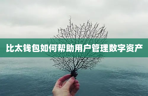 比太钱包如何帮助用户管理数字资产