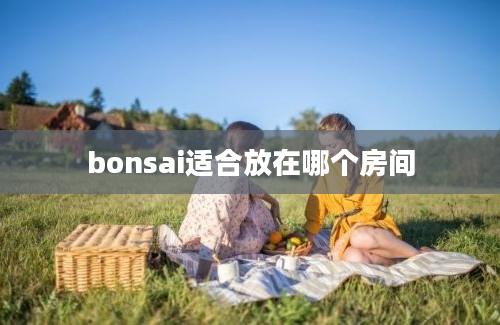 bonsai适合放在哪个房间