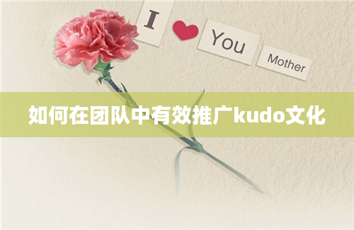 如何在团队中有效推广kudo文化