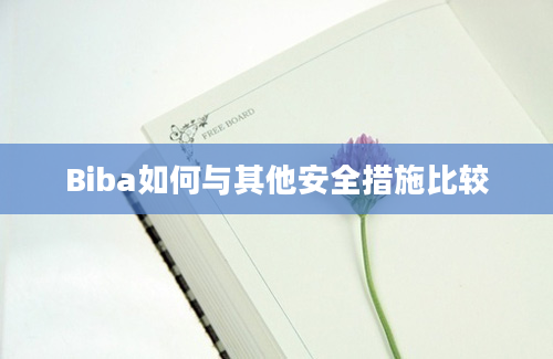 Biba如何与其他安全措施比较