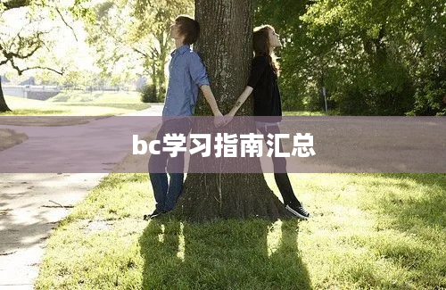 bc学习指南汇总