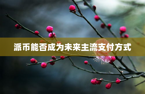 派币能否成为未来主流支付方式