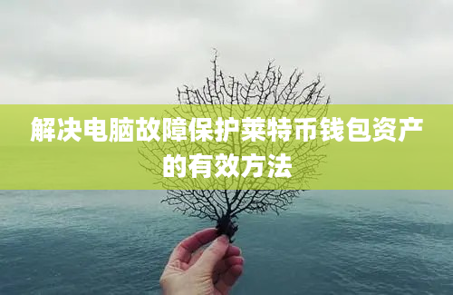 解决电脑故障保护莱特币钱包资产的有效方法