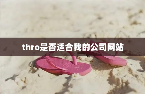 thro是否适合我的公司网站