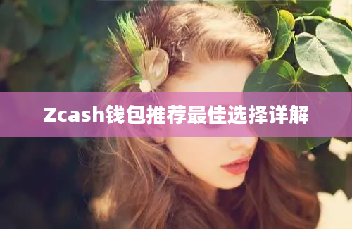 Zcash钱包推荐最佳选择详解