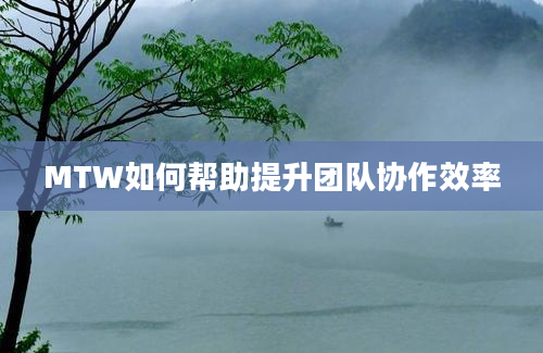 MTW如何帮助提升团队协作效率