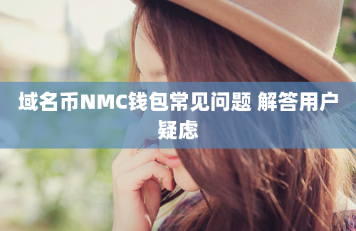 域名币NMC钱包常见问题 解答用户疑虑