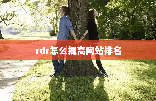 rdr怎么提高网站排名