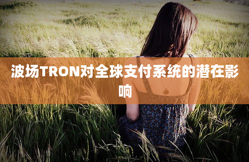 波场TRON对全球支付系统的潜在影响