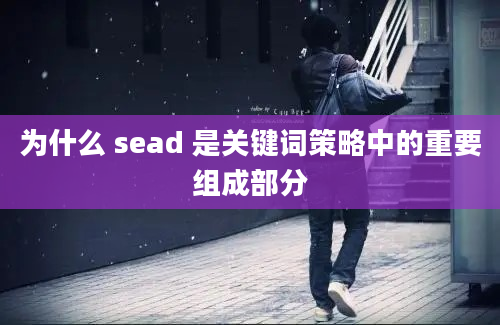 为什么 sead 是关键词策略中的重要组成部分