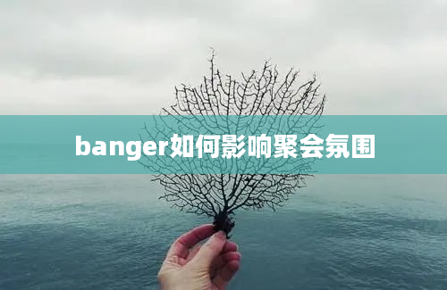 banger如何影响聚会氛围