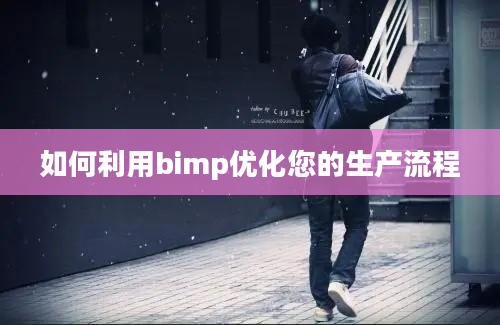 如何利用bimp优化您的生产流程