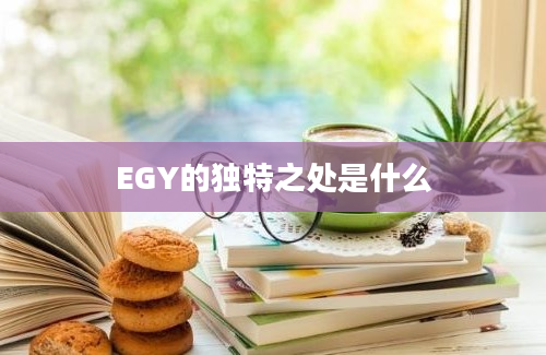 EGY的独特之处是什么