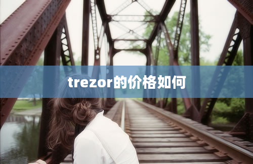 trezor的价格如何