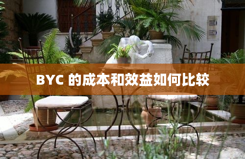 BYC 的成本和效益如何比较