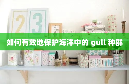 如何有效地保护海洋中的 gull 种群