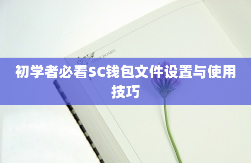 初学者必看SC钱包文件设置与使用技巧