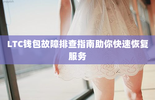 LTC钱包故障排查指南助你快速恢复服务