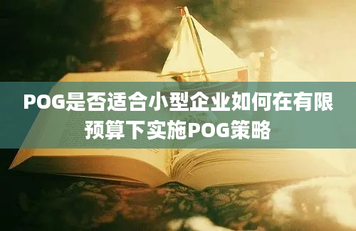 POG是否适合小型企业如何在有限预算下实施POG策略