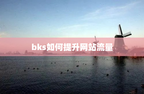 bks如何提升网站流量