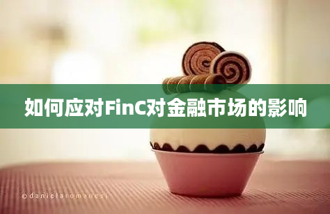 如何应对FinC对金融市场的影响