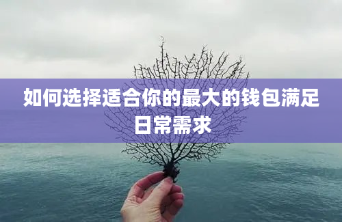 如何选择适合你的最大的钱包满足日常需求