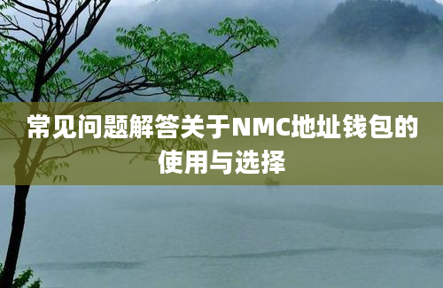 常见问题解答关于NMC地址钱包的使用与选择