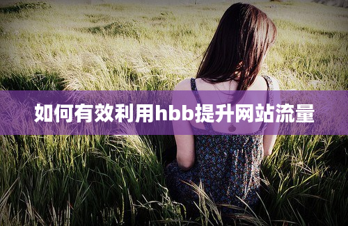 如何有效利用hbb提升网站流量