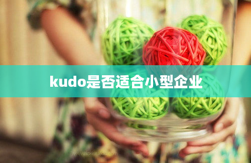 kudo是否适合小型企业