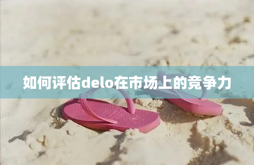 如何评估delo在市场上的竞争力