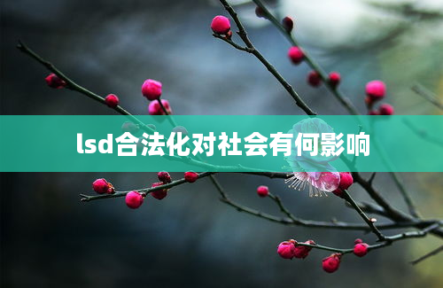 lsd合法化对社会有何影响