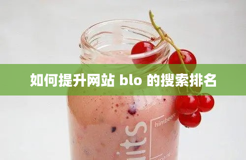 如何提升网站 blo 的搜索排名