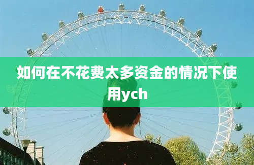 如何在不花费太多资金的情况下使用ych