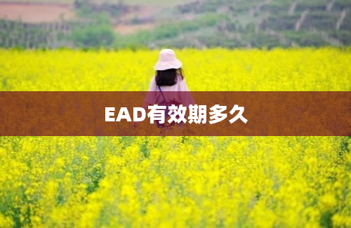 EAD有效期多久