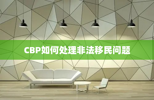 CBP如何处理非法移民问题